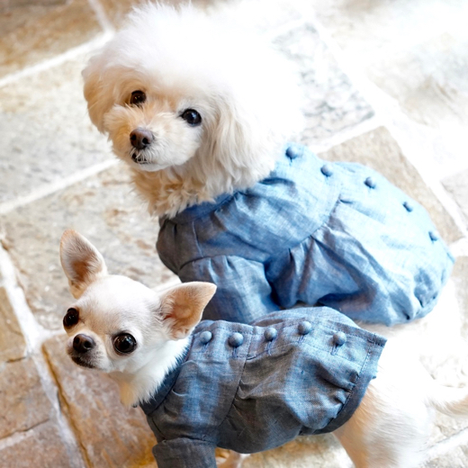 ブルーブルーブルー ギャザー フレンチ ブラウス Blue Blue Blue 犬服 犬グッズ セレブ トップス