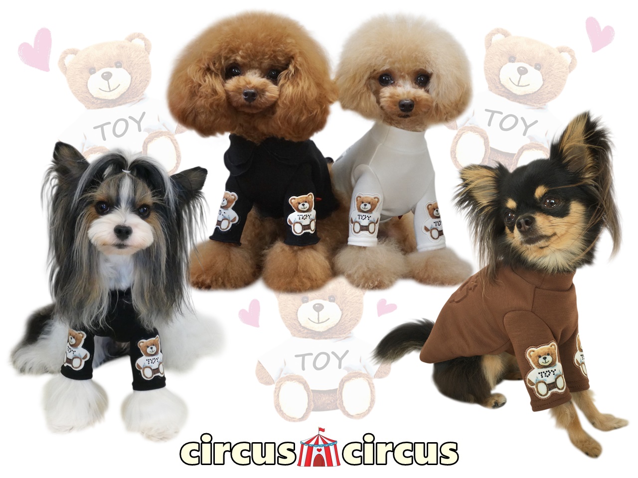 サーカスサーカス Toy Bear Boys 犬服 XS 新品未使用 - 犬服・アクセサリー